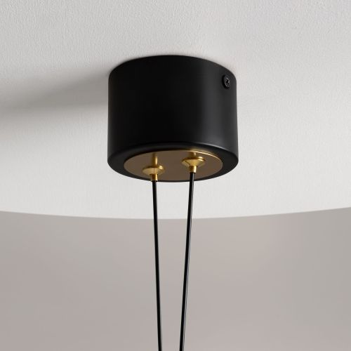 Подвесной светильник Maytoni MOD357PL-L14BS3K фото 7