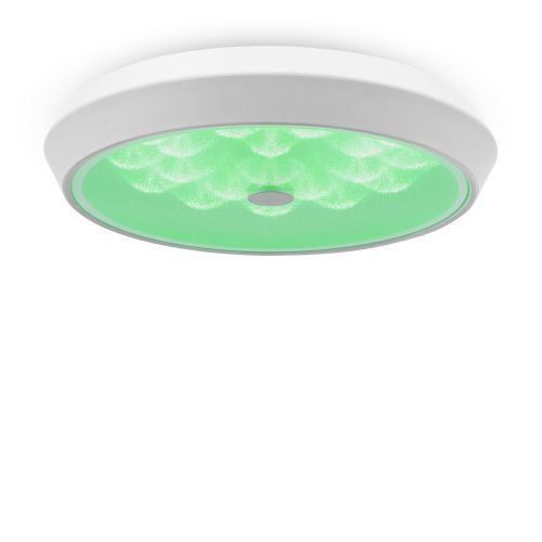 Потолочный светильник Freya FR10012CL-L24W фото 4
